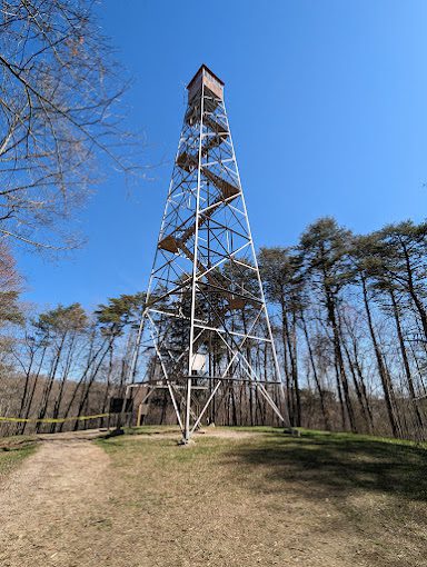 PXL 20230411 151745196