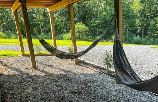 69407 191972 P IehxbvV5s30iXQk jq7d0g7nnDTe90lO8DwNiDiqo 64ee8772239b6.jpg